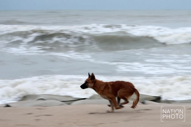 (ภาพชุด) ชาวประมงพื้นบ้านหัวไทร ย้ายเรือหนี "ปาบึก"
