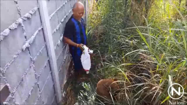 (คลิป) ช่วยสุนัขจรจัดติดซอกกำแพงหลายวัน