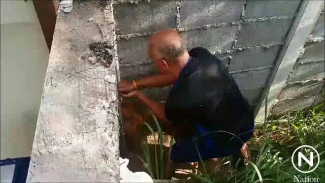 (คลิป) ช่วยสุนัขจรจัดติดซอกกำแพงหลายวัน