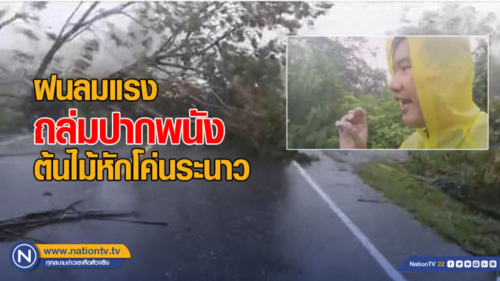 ฝนลมแรง ถล่มปากพนัง ต้นไม้หักโค่นระนาว ฝนลมแรง ถล่มปากพนัง ต้นไม้หักโค่นระนาว