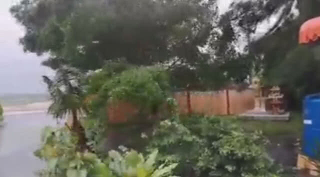 ฝนลมแรง​ ถล่ม​ปากพนัง​ ต้นไม้หักโค่นระนาว​