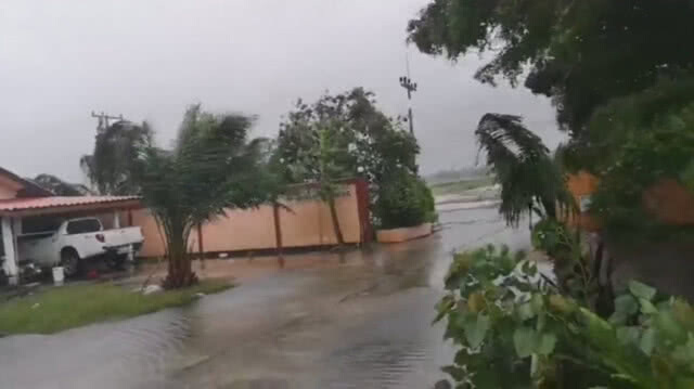 ฝนลมแรง​ ถล่ม​ปากพนัง​ ต้นไม้หักโค่นระนาว​