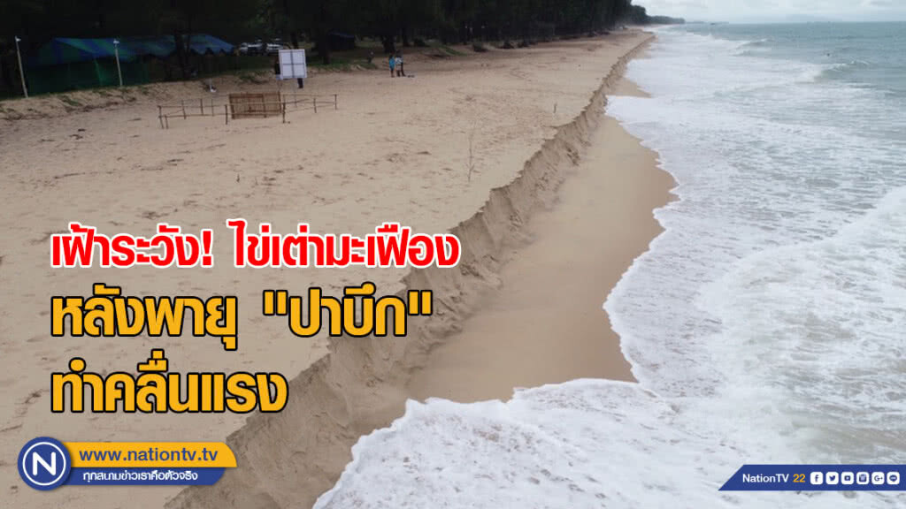 เฝ้าระวัง! ไข่เต่ามะเฟือง หลังพายุ "ปาบึก" ทำคลื่นลมแรงซัดชายหาด