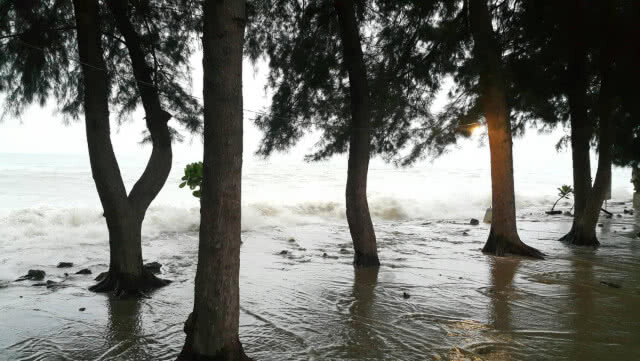 ฤทธิ์พายุ "ปาบึก" เกิดคลื่นสูง 5-6 เมตร โหมพัดตะกอนทรายน้ำทะเลเข้าท่วมหาดเจ้าสำราญ