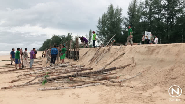เฝ้าระวัง! ไข่เต่ามะเฟือง หลังพายุ "ปาบึก" ทำคลื่นลมแรงซัดชายหาด