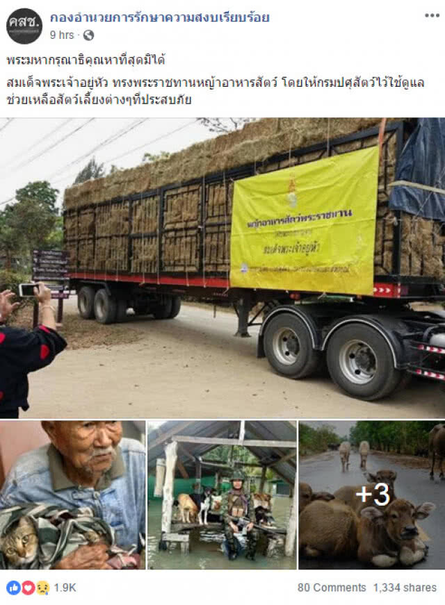 สมเด็จพระเจ้าอยู่หัว ทรงพระราชทานหญ้าอาหารสัตว์ ช่วยเหลือสัตว์เลี้ยงที่ประสบภัย