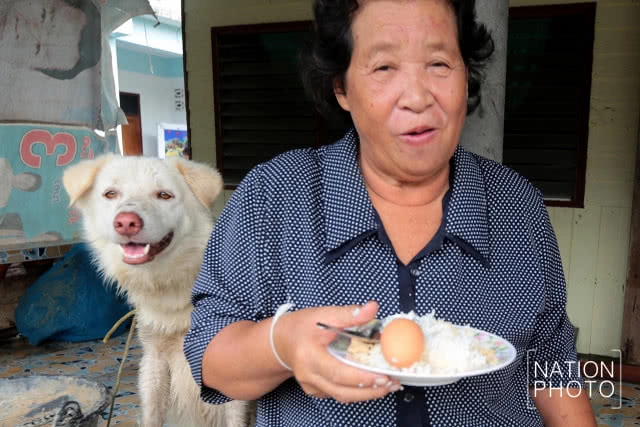 ทุกข์สุดปลายแหลมตะลุมพุก เมื่อพายุปาบึกผ่านพ้น