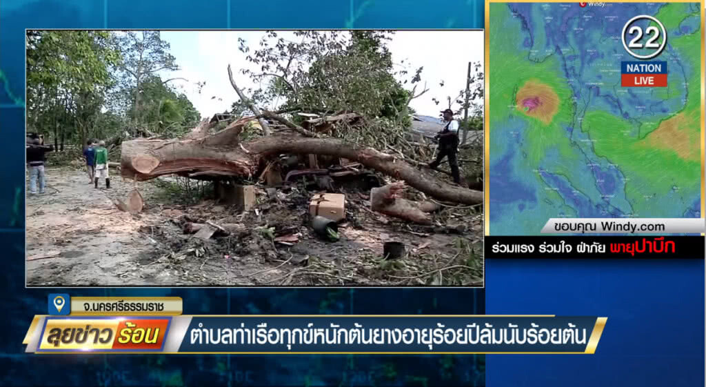 (คลิปข่าว) ตำบลท่าเรือทุกข์หนัก ต้นยางอายุร้อยปีล้มนับร้อยต้น (คลิปข่าว) ตำบลท่าเรือทุกข์หนัก ต้นยางอายุร้อยปีล้มนับร้อยต้น