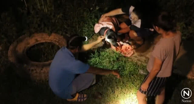 ช่วยหมาลอยน้ำในคลองพังงา ช่วงพายุพัดผ่าน ชาวบ้านตั้งชื่อ "ปาบึก"
