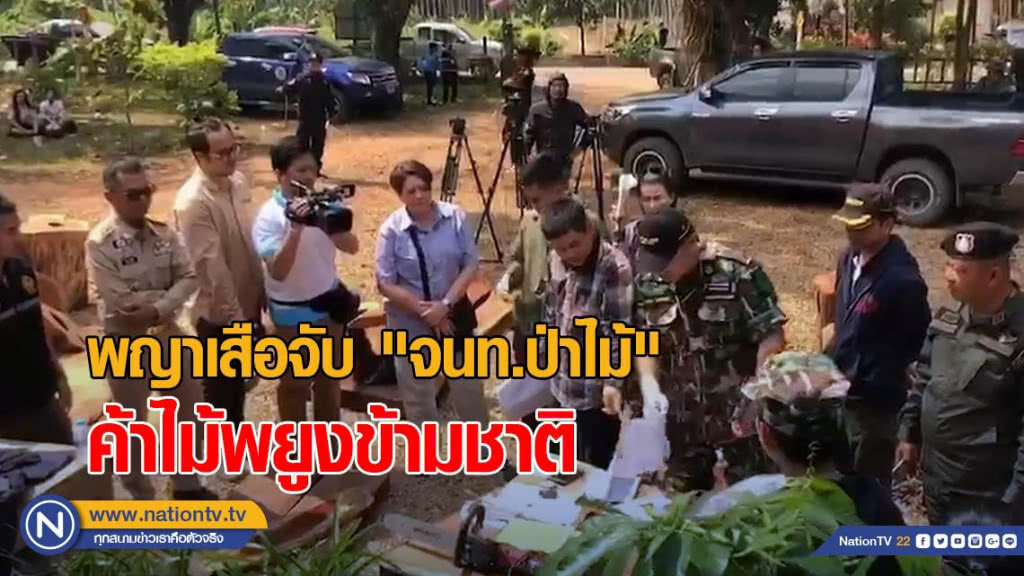 พญาเสือจับ "จนท.ป่าไม้" ค้าไม้พยูงข้ามชาติ พญาเสือจับ "จนท.ป่าไม้" ค้าไม้พยูงข้ามชาติ