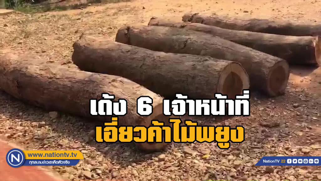 กรมป่าไม้ให้ออก 6 จนท.ป่าไม้ ขบวนการค้าไม้พยูง กรมป่าไม้ให้ออก 6 จนท.ป่าไม้ ขบวนการค้าไม้พยูง