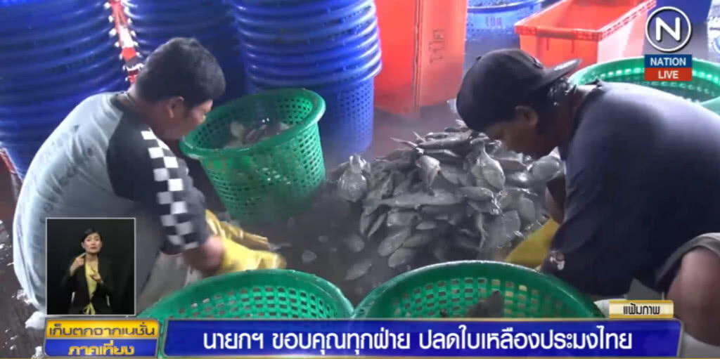 นายกฯ ขอบคุณทุกฝ่าย ปลดใบเหลืองประมงไทย