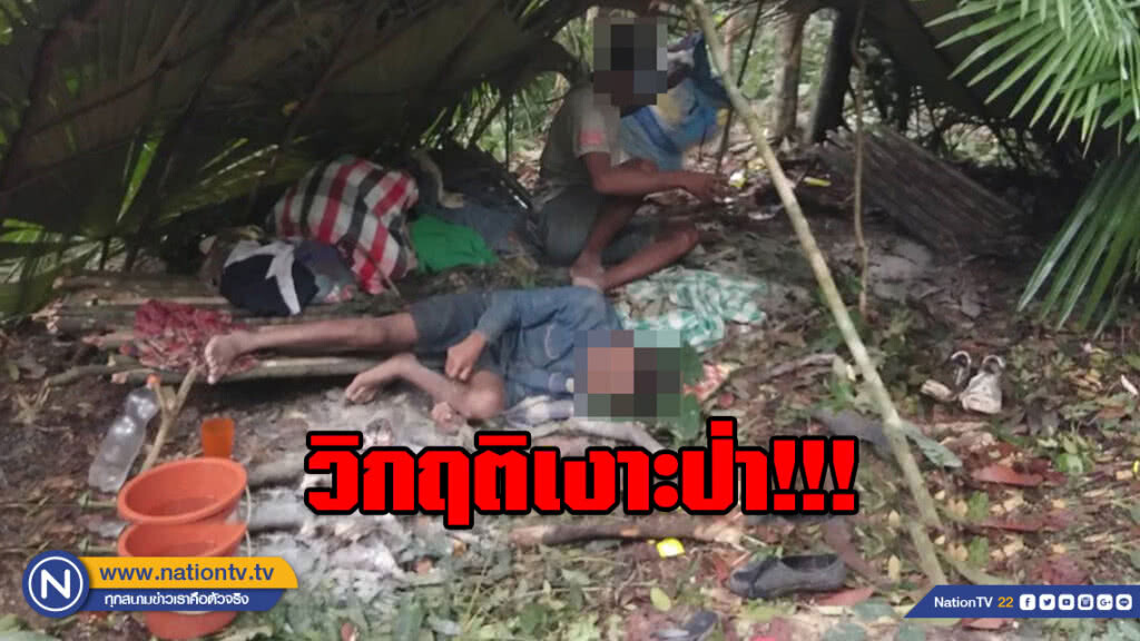 วิกฤติเงาะป่า!!! เริ่มป่วยนานนับแรมเดือน
