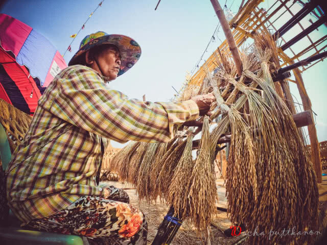 ชาวบ้านวังพิกุล ร่วมใจสร้าง ประสาทรวงข้าวบูชาพระแม่โพสพ