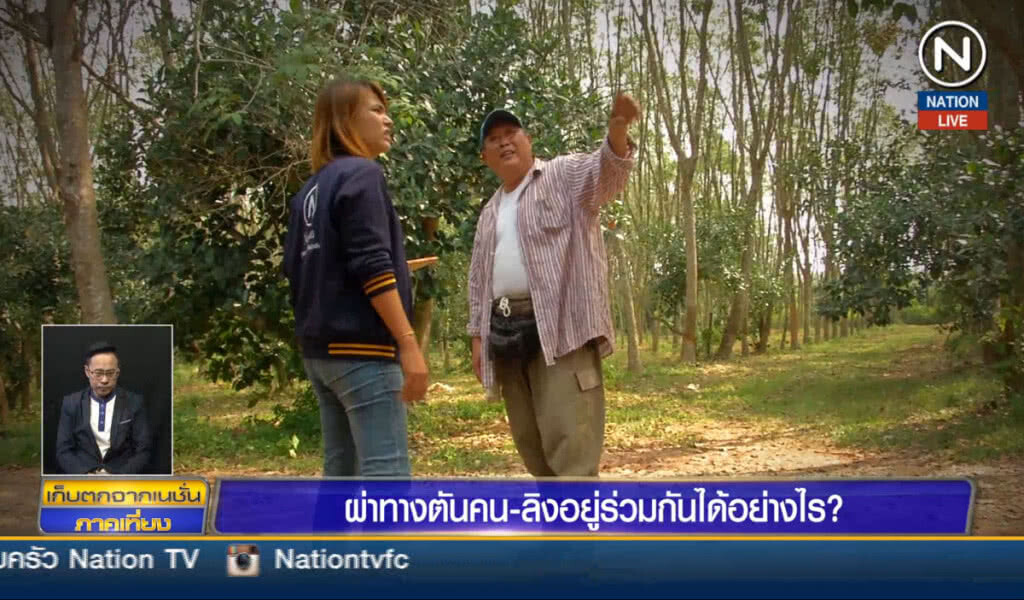 ผ่าทางตัน คน-ลิงอยู่ร่วมกันได้อย่างไร ?