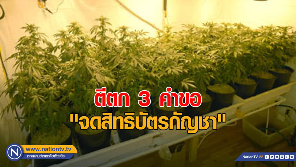 พณ.ตีตก 3 คำขอ "จดสิทธิบัตรกัญชา" ย้ำร่วมประชาชนหาทางออก พณ.ตีตก 3 คำขอ "จดสิทธิบัตรกัญชา" ย้ำร่วมประชาชนหาทางออก