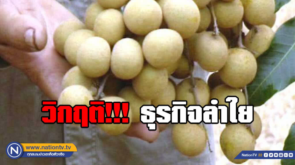 ธุรกิจลำใยพบปัญหาแรงงานหดหาย