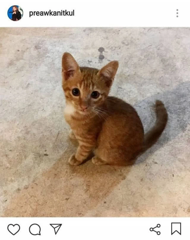 "แพรว" เผยสาเหตุ หยุดความสัมพันธ์ 5 ปี "ฟรอยด์"