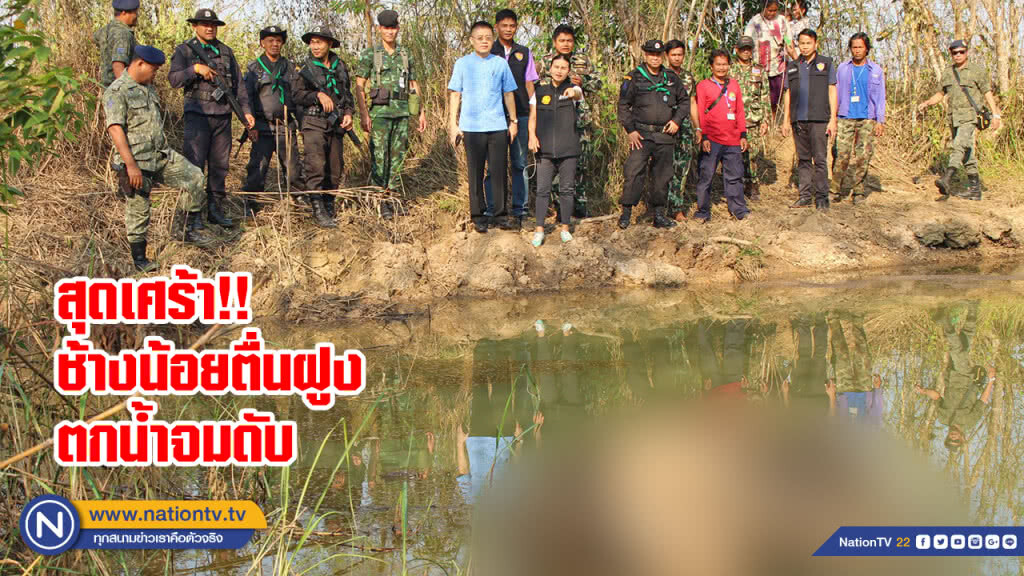 สุดเศร้า!! ช้างน้อยตื่นฝูงตกน้ำ ชาวบ้านพบซากลอยอืดในสระนาน 5 วัน