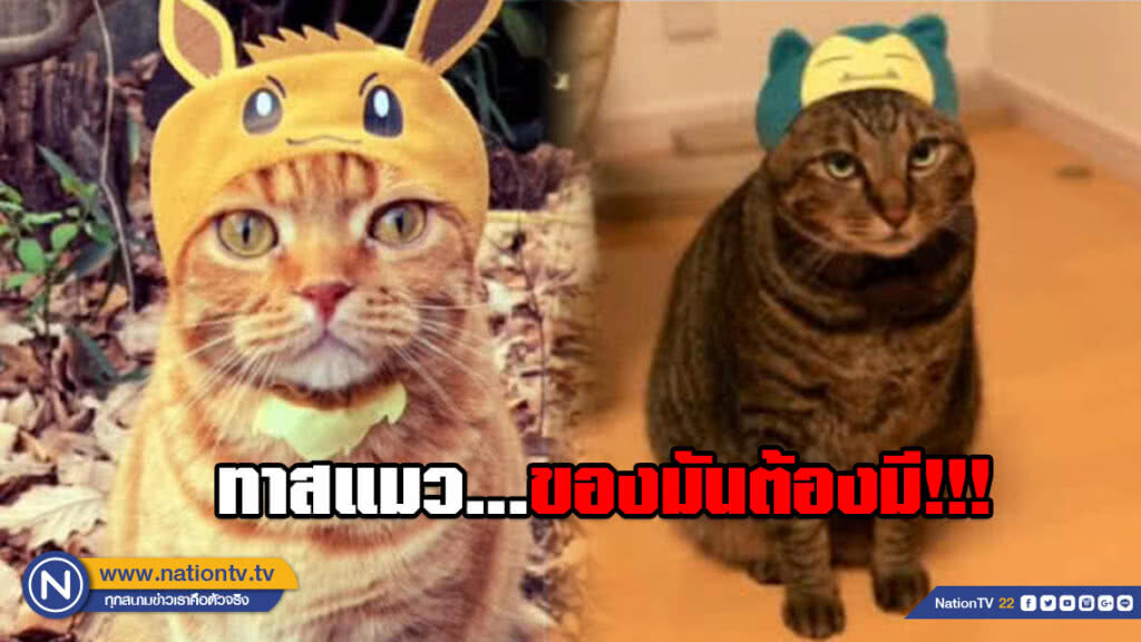 หมวกสำหรับแมว ที่แฟนโปเกมอนทาสแมว ห้ามพลาด!! หมวกสำหรับแมว ที่แฟนโปเกมอนทาสแมว ห้ามพลาด!!