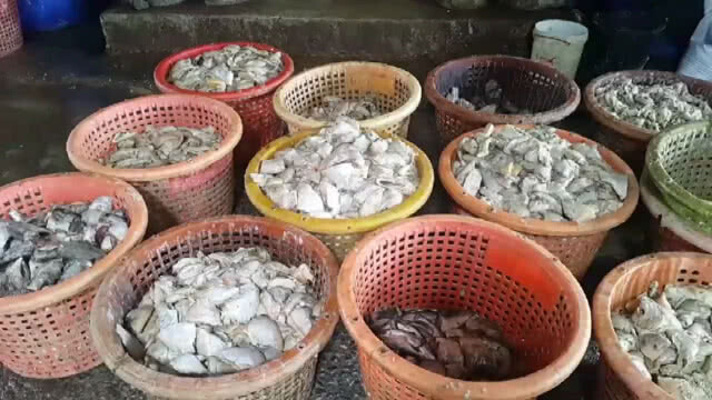 ชาวบ้านสุดทน!! ร้องโรงงานปลาร้าส่งกลิ่นเหม็นรบกวน