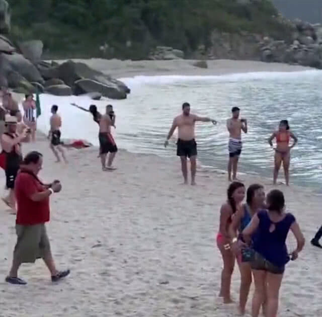 วงแตก! นักท่องเที่ยววิ่งหนีจระเข้โผล่ชายหาด