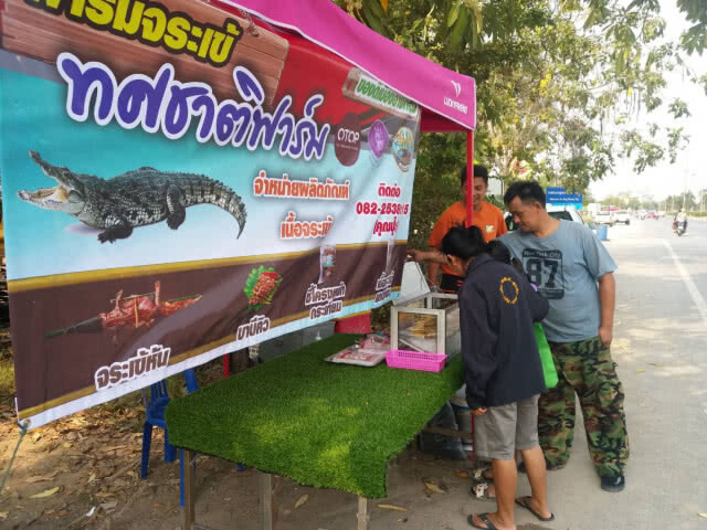 ฮือฮา!หนุ่มใหญ่ยึดอาชีพขายจระเข้เสียบไม้ย่าง