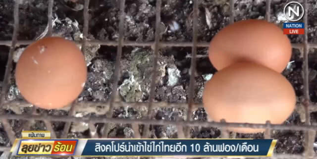 เกษตรกรเฮ!...สิงคโปร์นำเข้าไข่ไก่เพิ่มอีก 10.8 ล้านฟอง/เดือน