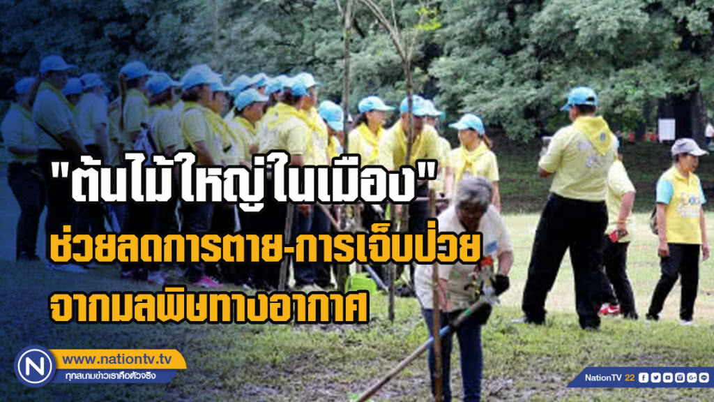 ผลวิจัยชี้ "ต้นไม้ใหญ่ในเมือง" ช่วยลดการตายและการเจ็บป่วยจากมลพิษทางอากาศ