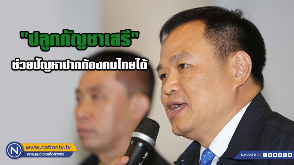 "ภูมิใจ​ไทย" ชู​นโยบาย "ปลูกกัญชาเสรี"​ ชี้​ ช่วยปัญหาปากท้องคนไทยได้