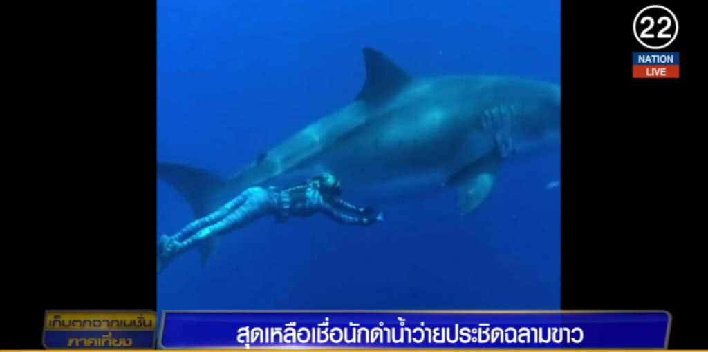สุดบรรยาย....นักดำน้ำเผชิญหน้าฉลามขาวยักษ์ แบบมือถึงตัว