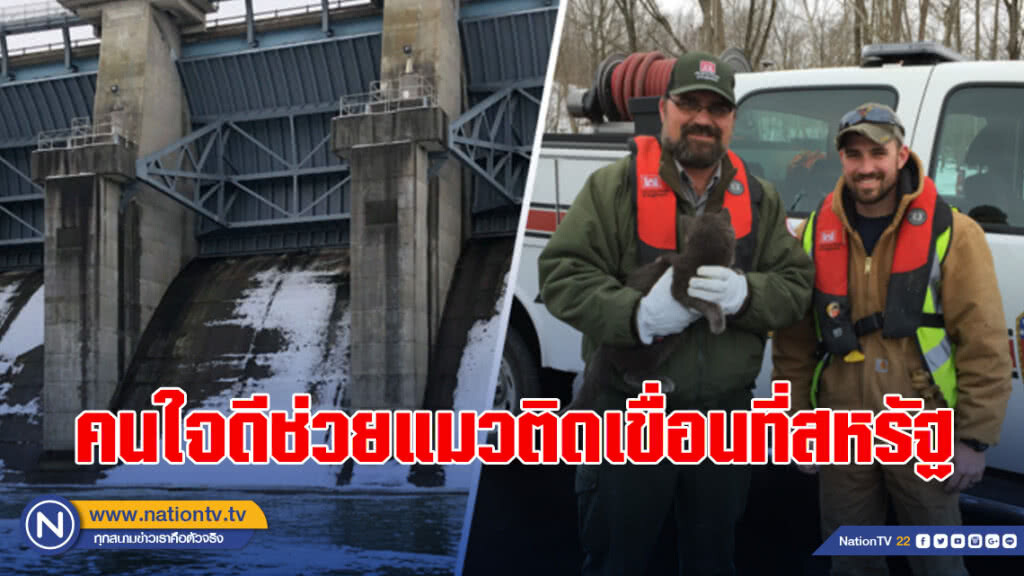 คนใจดีช่วยแมวติดเขื่อนที่สหรัฐ คนใจดีช่วยแมวติดเขื่อนที่สหรัฐ