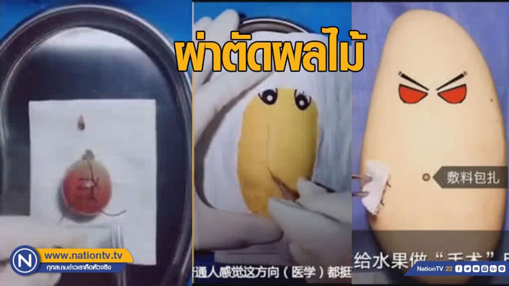 หมอจีนผ่าตัดผลไม้ ให้ลูกชายเข้าใจการแพทย์ หมอจีนผ่าตัดผลไม้ ให้ลูกชายเข้าใจการแพทย์