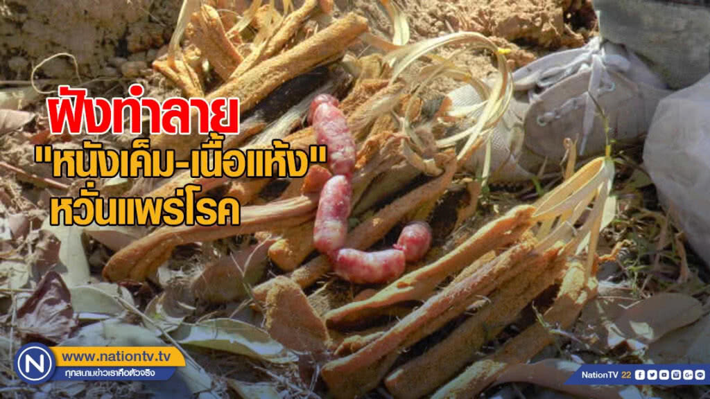 ฝังทำลาย "หนังเค็ม-เนื้อแห้ง" หวั่นแพร่โรค ฝังทำลาย "หนังเค็ม-เนื้อแห้ง" หวั่นแพร่โรค