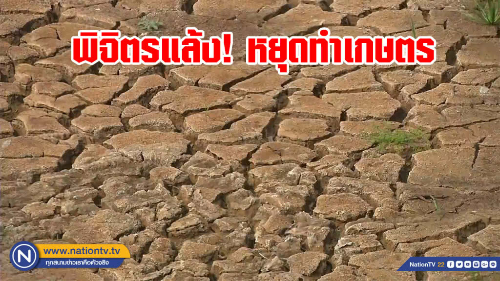 พิจิตรแล้ง น้ำแห้งขอด หยุดทำเกษตร พิจิตรแล้ง น้ำแห้งขอด หยุดทำเกษตร