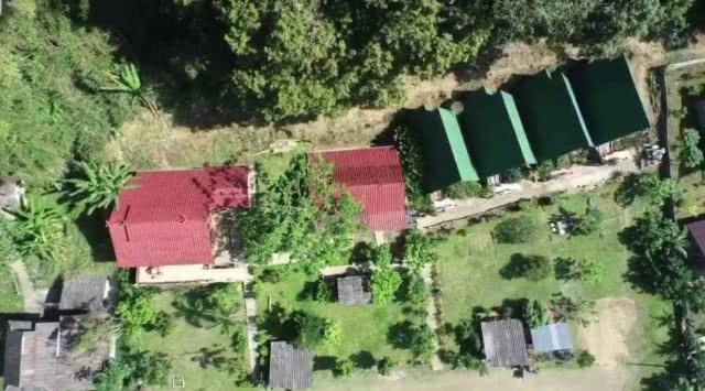 พญาเสือ​ ยึด 3 รีสอร์ทดัง​รุกป่า​ จ.เชียงใหม่