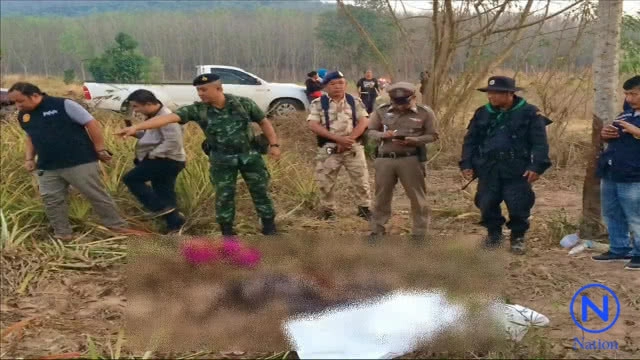 "ช้างป่า" รุมเหยียบลุงเฝ้าไร่สับปะรดเสียชีวิตสุดสลด