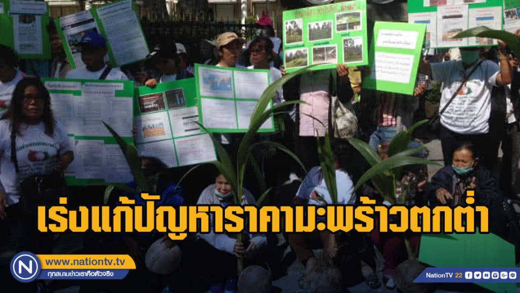ชาวสวนร้องรัฐฯเร่งแก้ปัญหาราคามะพร้าวตกต่ำ ชาวสวนร้องรัฐฯเร่งแก้ปัญหาราคามะพร้าวตกต่ำ