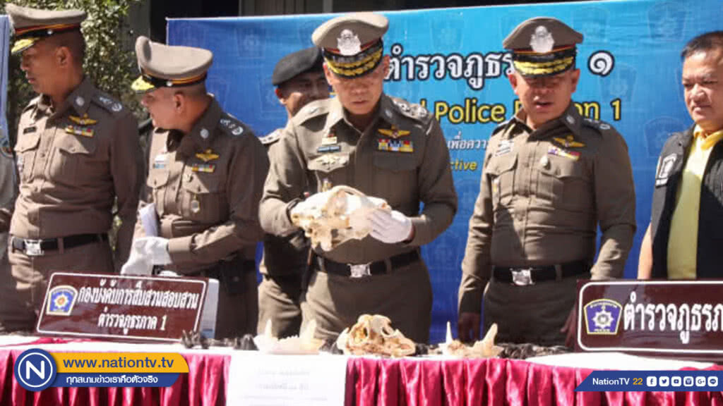 จับกุมนักค้าซากสัตว์ป่า พร้อมเล็บหมี 1,666 ชิ้น มูลค่า 8 ล้าน