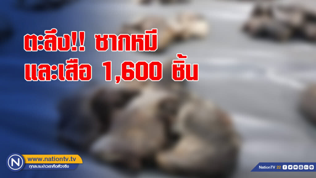 ตะลึง!!ซากหมีและเสือ 1,600 ชิ้น