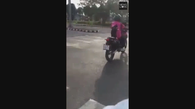 แมวสายซิ่ง! นั่งซ้อนท้ายมอเตอร์ไซค์อย่างเท่