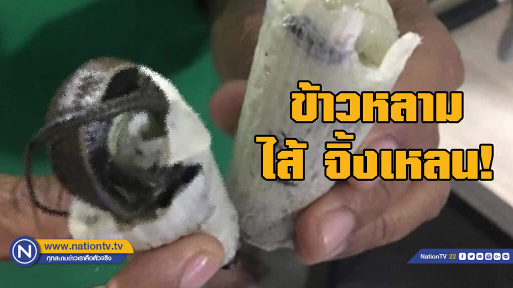 ลมแทบจับ! ซื้อข้าวหลาม แกะออกมาพบ  "จิ้งเหลน" ฝังทั้งตัว