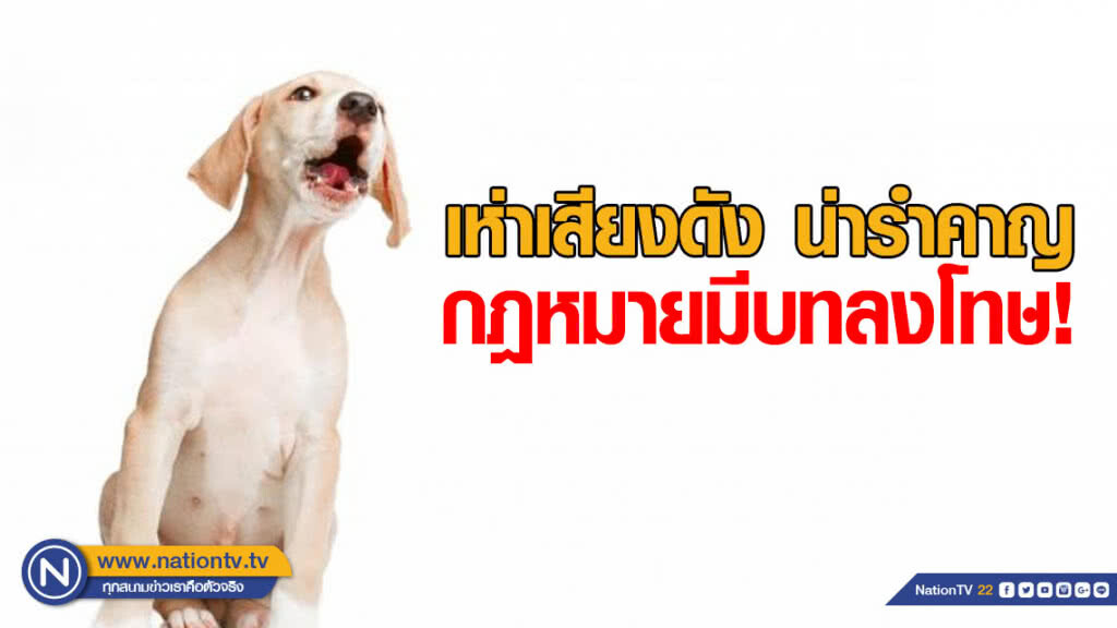 เลี้ยงหมา รับผิดชอบด้วย เห่าเสียงดัง น่ารำคาญ กฎหมายมีบทลงโทษ!!!