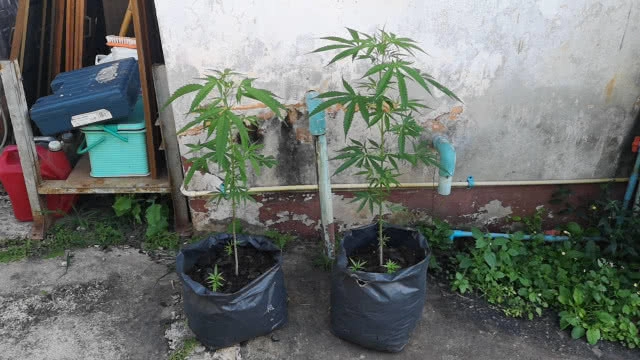 ชุดพญาเสือ บุกยึด Zipline "อีเกิ้ล แทรค" เชียงใหม่