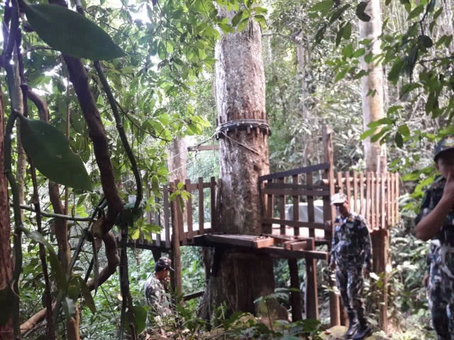 ชุดพญาเสือ บุกยึด Zipline "อีเกิ้ล แทรค" เชียงใหม่