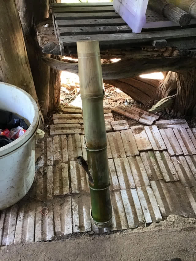 ชุดพญาเสือ บุกยึด Zipline "อีเกิ้ล แทรค" เชียงใหม่