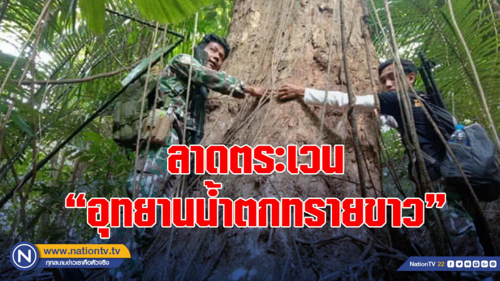 ลาดตระเวน "อุทยานน้ำตกทรายขาว" จ.ปัตตานี ยังสมบูรณ์ ลาดตระเวน "อุทยานน้ำตกทรายขาว" จ.ปัตตานี ยังสมบูรณ์