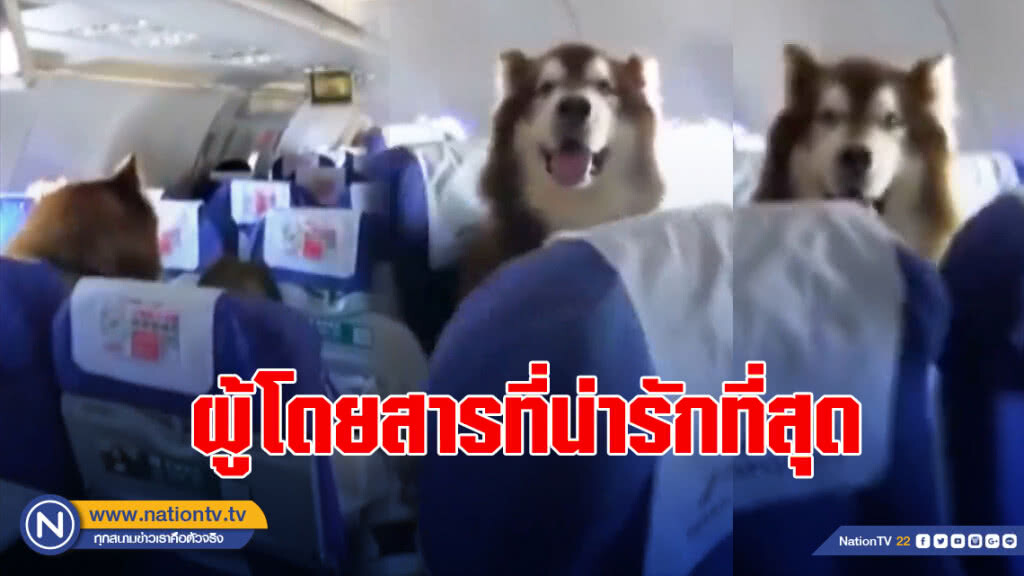 ผู้โดยสารที่น่ารักที่สุดบนเที่ยวบิน ผู้โดยสารที่น่ารักที่สุดบนเที่ยวบิน