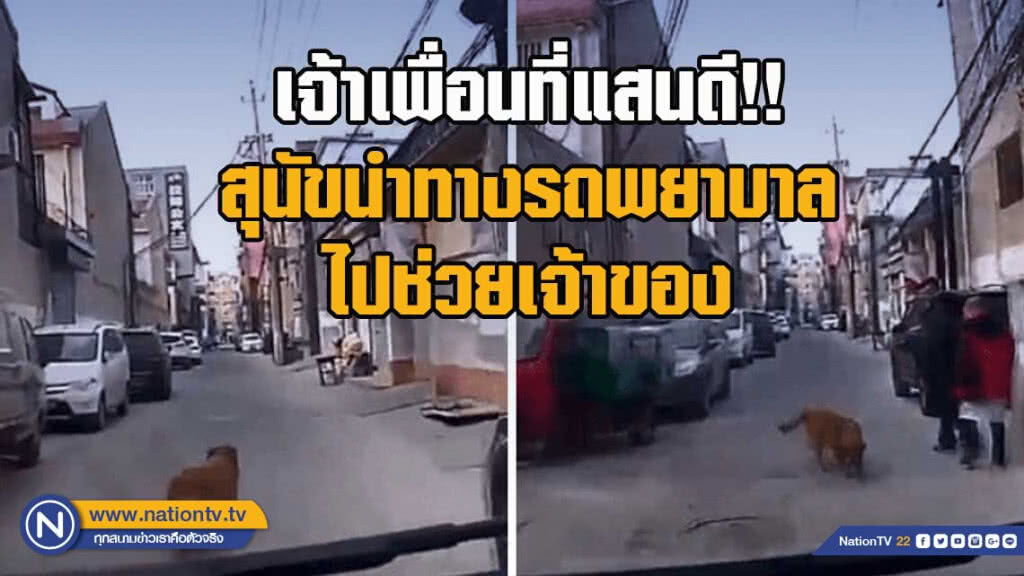เจ้าเพื่อนที่แสนดี!! สุนัขนำทางรถพยาบาลไปช่วยเจ้าของ เจ้าเพื่อนที่แสนดี!! สุนัขนำทางรถพยาบาลไปช่วยเจ้าของ