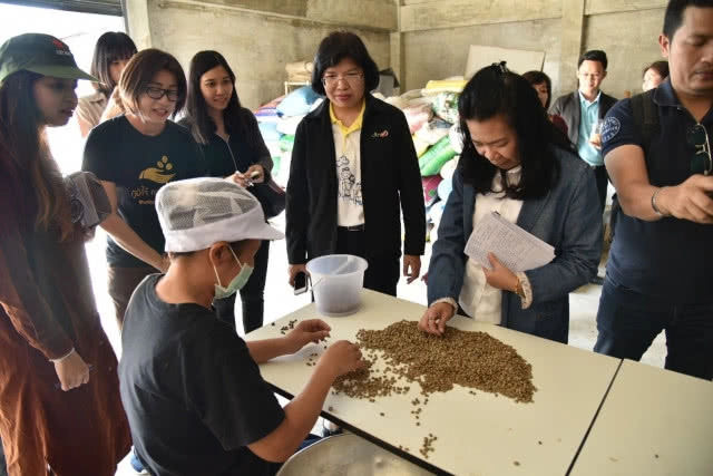 พาณิชย์​ เผยไทยส่งออกกาแฟอันดับ​ 6​ ของโลก​ จ่อดัน​ "กาแฟ​ จ.น่าน"​ สู่ตลาดสากล